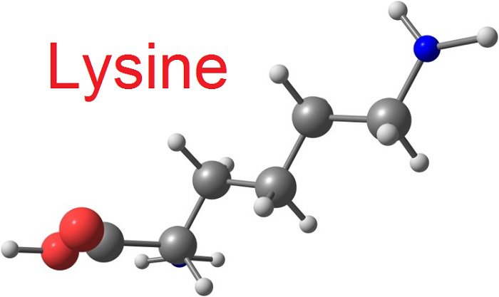 Cách sử dụng L-lysine để cải thiện sức khỏe như thế nào?
