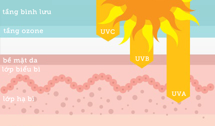 Các tia UV và khả năng xâm nhập của từng loại